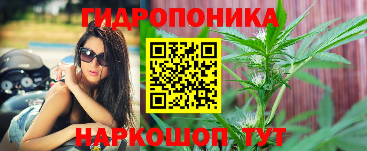 Бошки марихуана гибрид Ессентуки